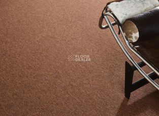 Tradition Tradition 930 фото 2 | FLOORDEALER